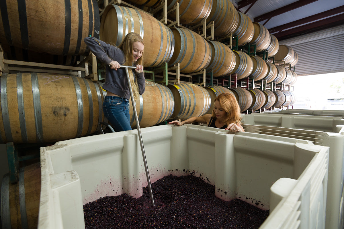 シャレーン ピノ ノワール カレラ クローン 2022年